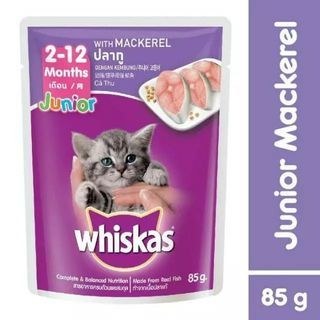 Makanan Kucing Whiskas Junior Kitten
