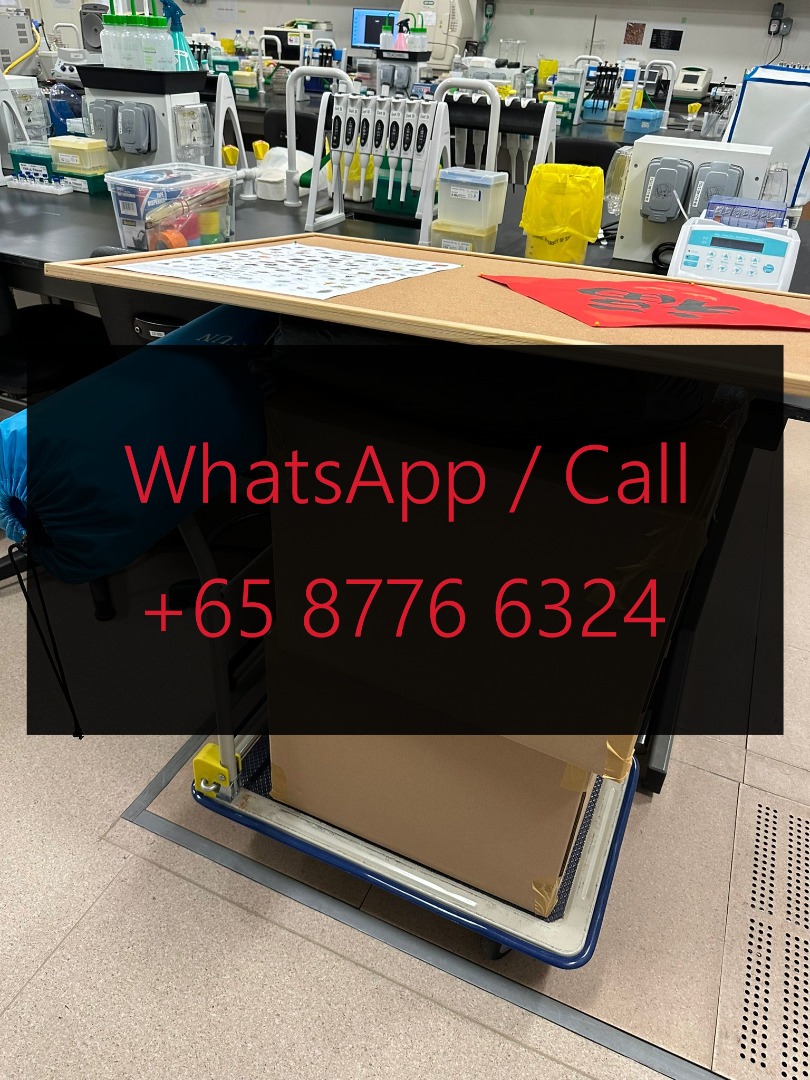 Mattress and Bed Disposal Service Mover Movers, Home Services, Movers