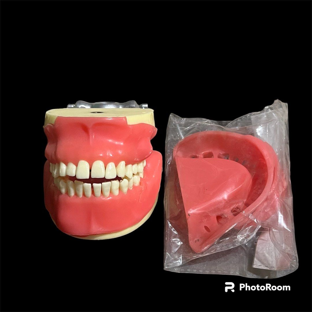Oral Surgery Jaw Articulator with Impacted tooth, Health & Nutrition, Medical Supplies & Tools