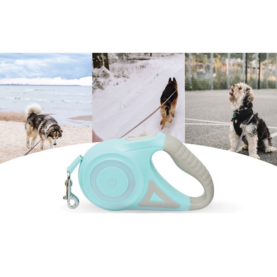 Premium LED light Dog Leash Automatic Retractable Traction Rope Outdoor Dog Rope Pet Supplies Homes Other Pet Accessories on Carousell