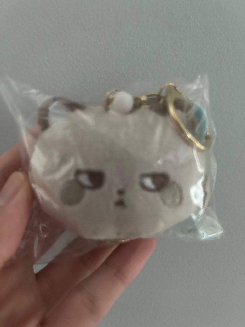 Racoon keyring online