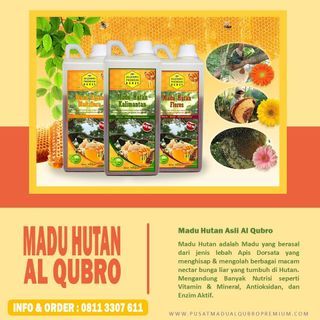 SUPPLIER !! WA : 0811-3307-611 Distributor Madu Tawon Asli Al Qubro Indonesia,