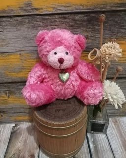 Teddy Bear Pink Celebeartion