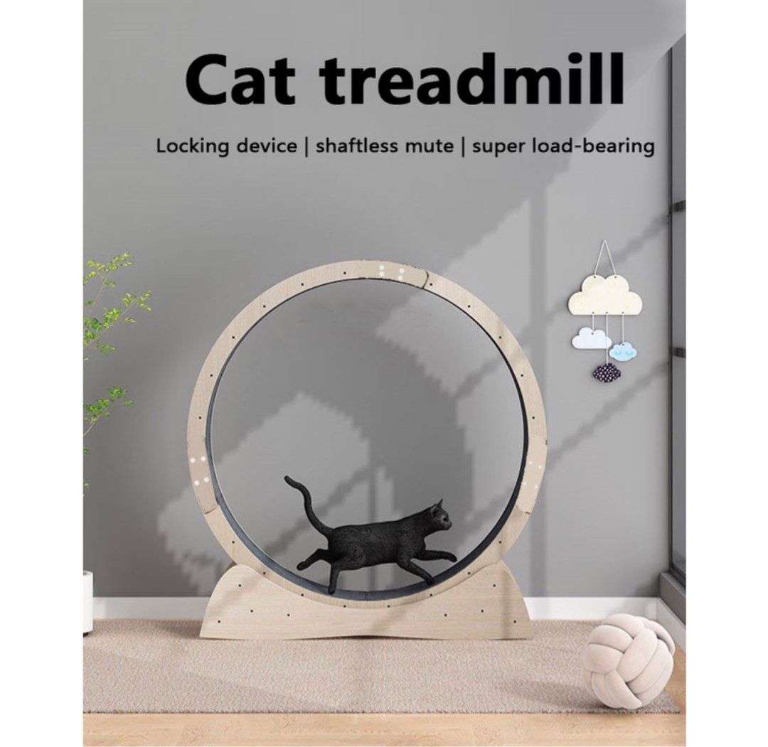 Second hand deals cat wheel