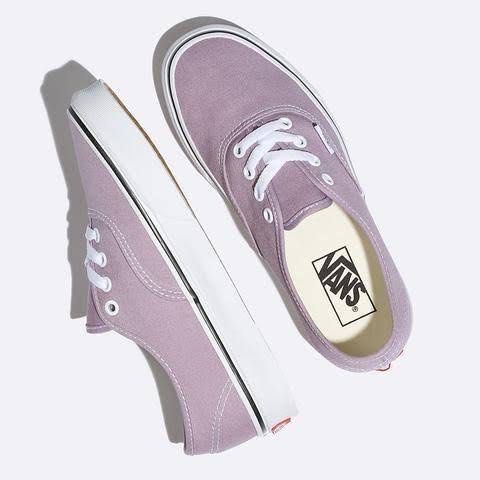 Sea top fog vans