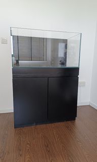 (Category: ) located in . Submitted by kaneplanter (Listing ID 1256347255, Image 1). Description: .