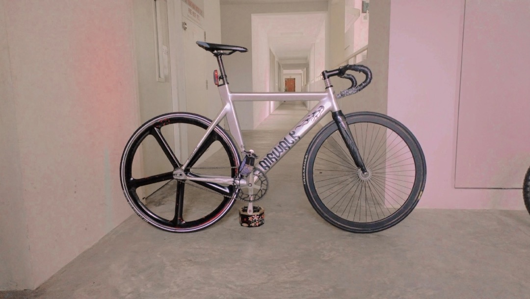 17teeth evo track frameset deals