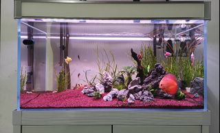 (Category: ) located in . Submitted by ohsemgallery (Listing ID 1256374350, Image 1). Description: .