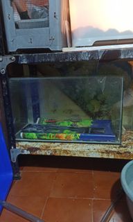 (Kategori: ) berada di . Dikirim oleh robbinjohn20 (ID iklan 1256425315, Gambar 1). Deskripsi: .