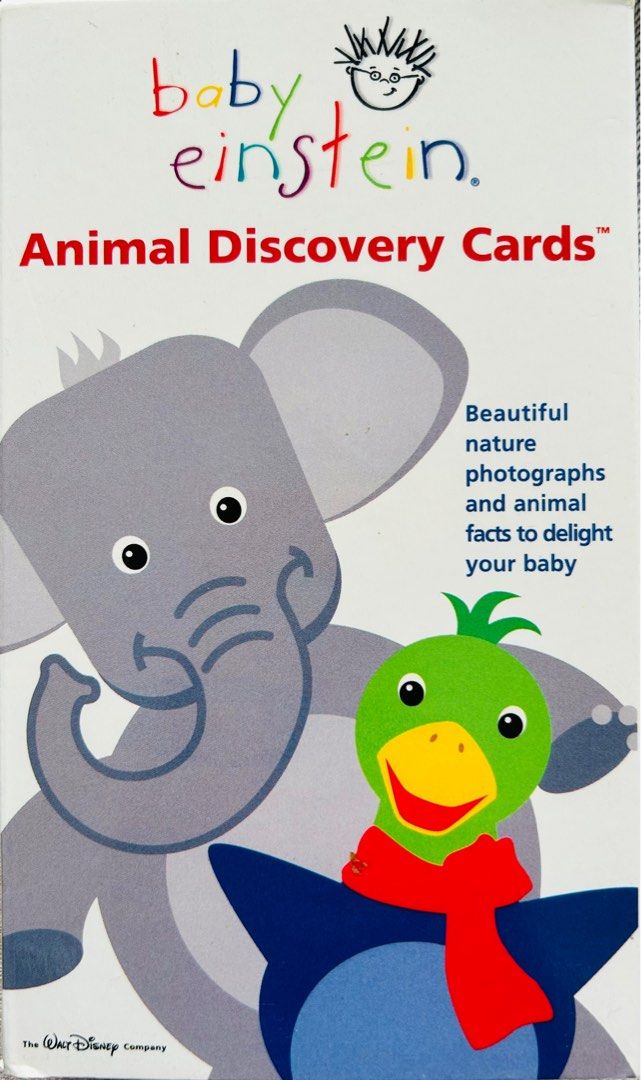 Baby Einstein Flash cards set, Babies & Kids, Infant Playtime on Carousell