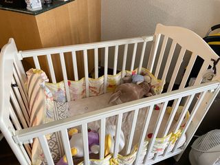 （分類：）位於 。 由 samtha19 提交（商品編號 1256335081，圖片 1）。簡介： 。