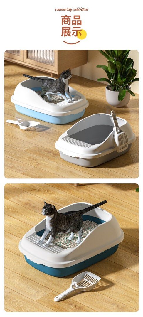 Cat pee training discount