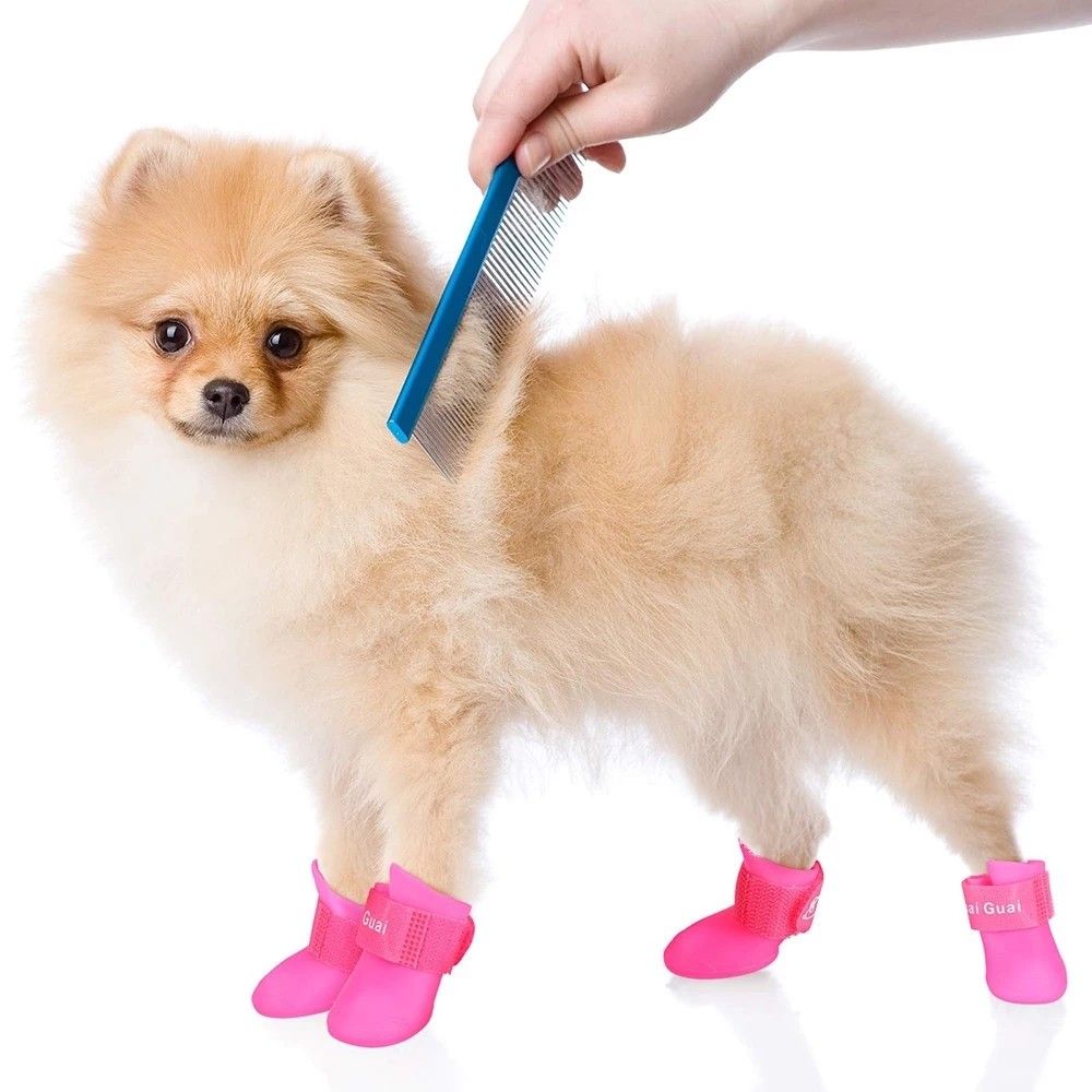 Waterproof dog new arrivals grooming shoes