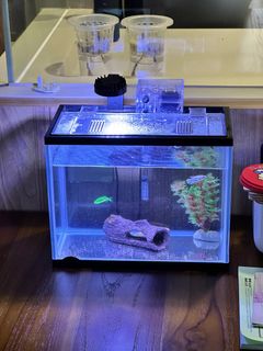 (Category: ) located in . Submitted by heretosellstuff (Listing ID 1256320467, Image 1). Description: .