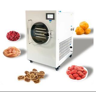 household mini home food fruit vacuum freeze dryer equipment