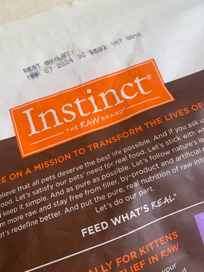 Instinct original top kitten