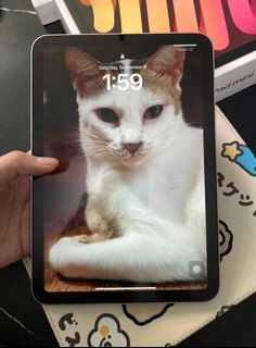 (Category: ) located in . Submitted by dillydallier (Listing ID 1256459298, Image 1). Description: .