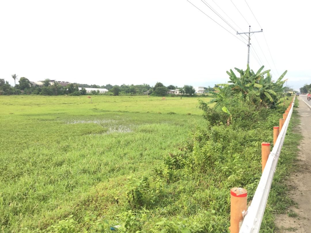 LOT FOR SALE along Oton near Iloilo Airport, Property, For Sale, Lot on
