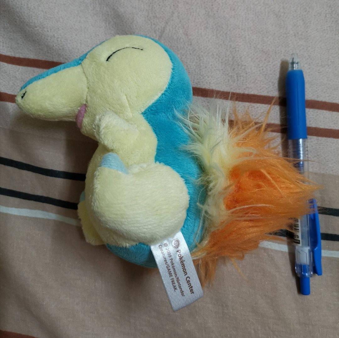 Pokemon center cyndaquil store