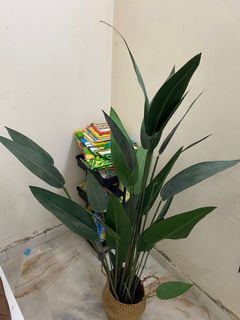 (Category: ) located in . Submitted by barangsecondbaik (Listing ID 1256313123, Image 1). Description: .