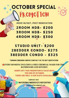 Professional Cleaning Services