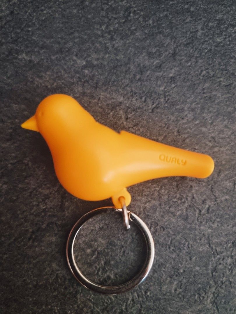 Qualy sparrow key best sale ring