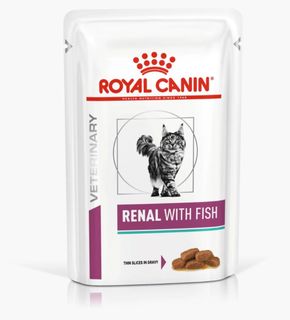 (Category: ) located in . Submitted by pawspro (Listing ID 1256451601, Image 1). Description: .