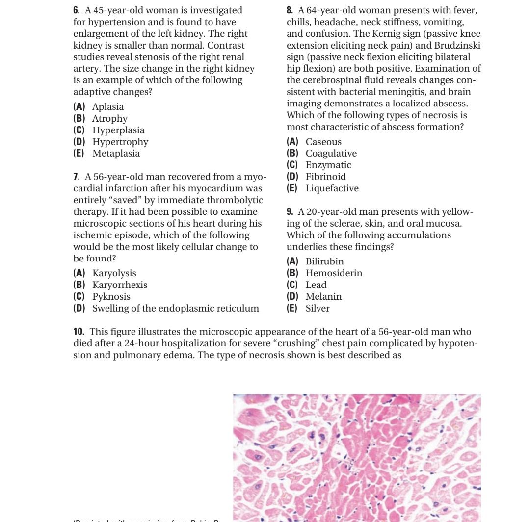 RCPA BPS Exam Basic Pathological Sciences Exam Study Guide (Category: Textbooks) located in Singapore. Submitted by books__ (Listing ID 1256418783, Image 2). Description: Study guide I prepared while preparing for the RCPA Basic Pathological Sciences Exam Includes - Summary notes for first 11 chapters of Robbin's Pathologic Basis of Disease - High yield facts & summary notes - Compilation of more than 2000 relevant pathology practice questions fr
