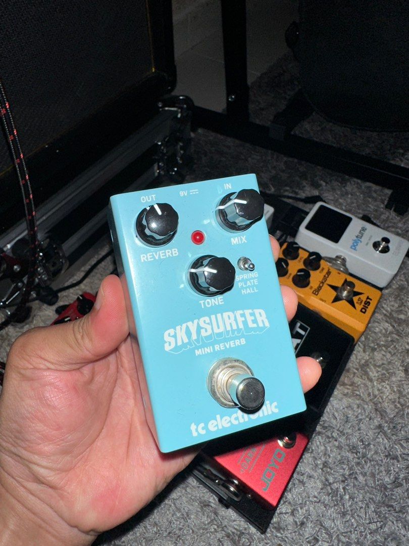 Skysurfer shop mini reverb