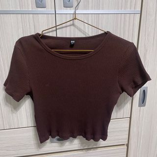 Uniqlo 短版咖色坑條上衣