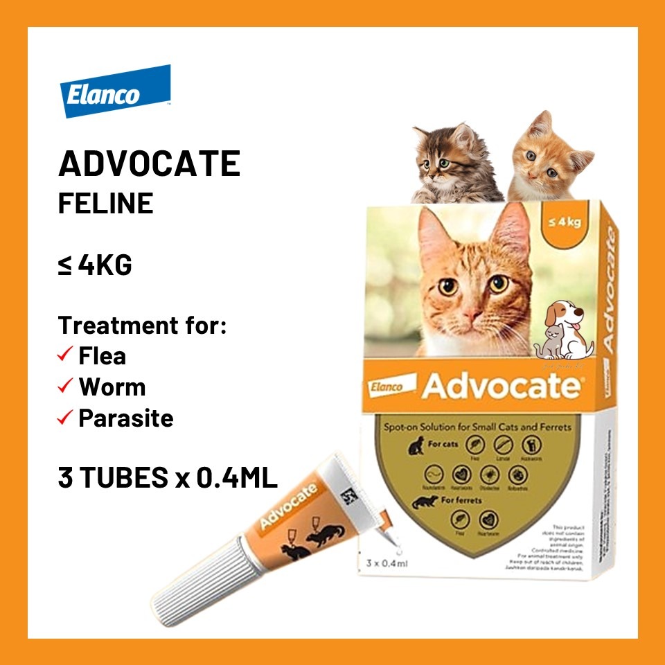 Advocate for cats flea treatment 2025