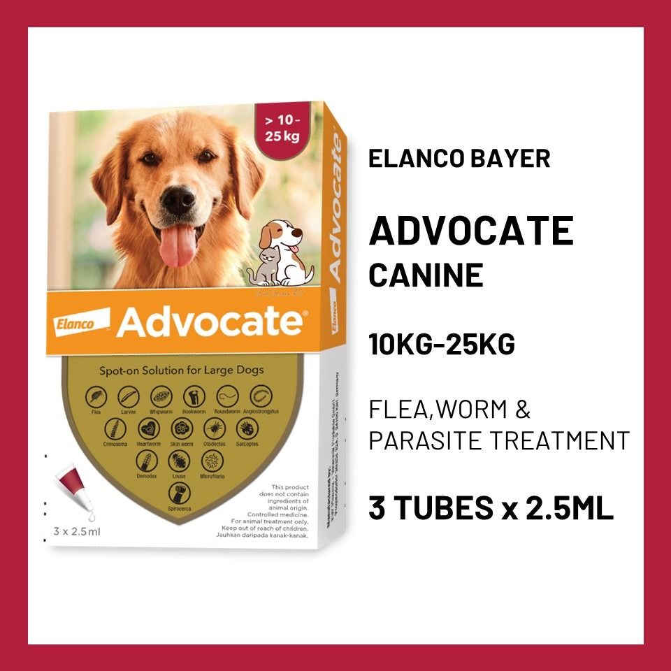 Advocate new arrivals dog treatment