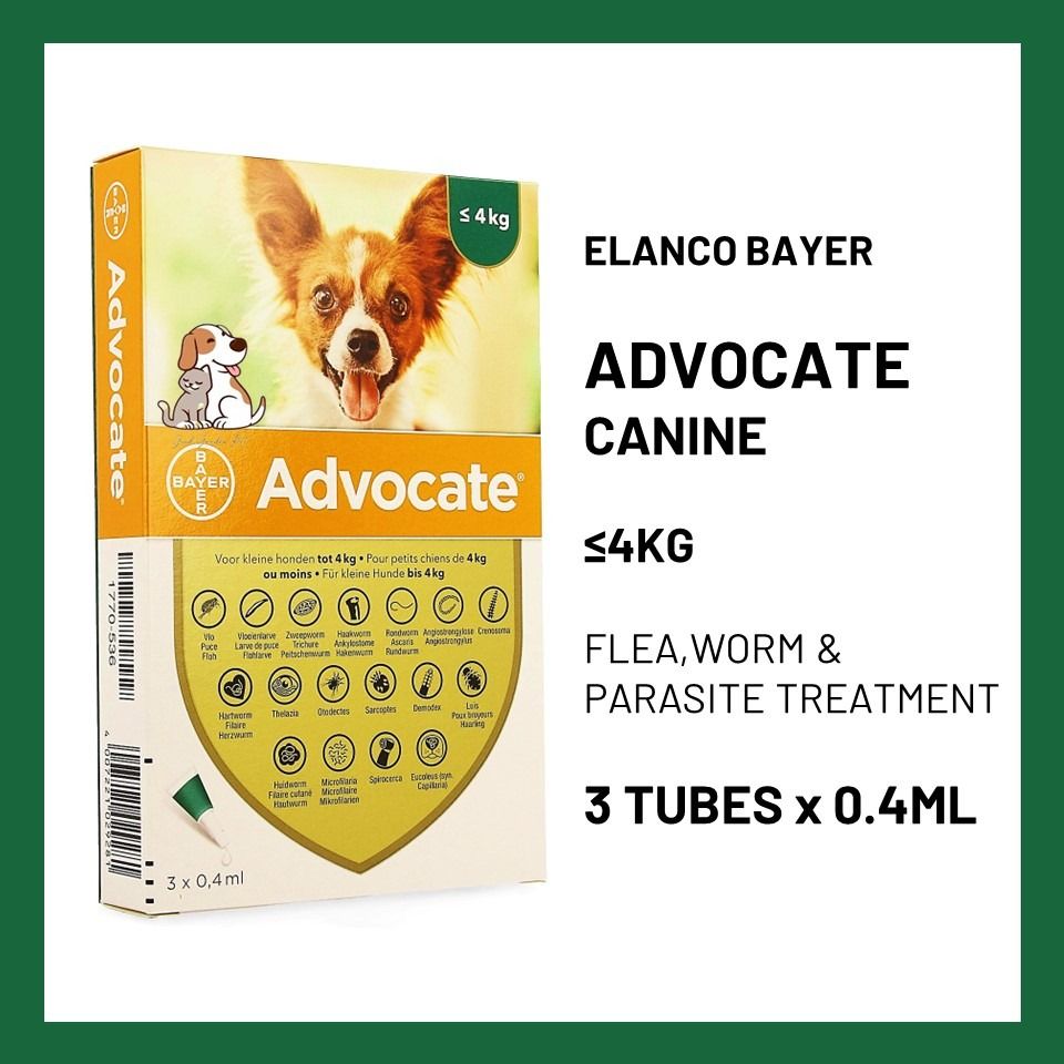Advocate puppy flea top worm treatment