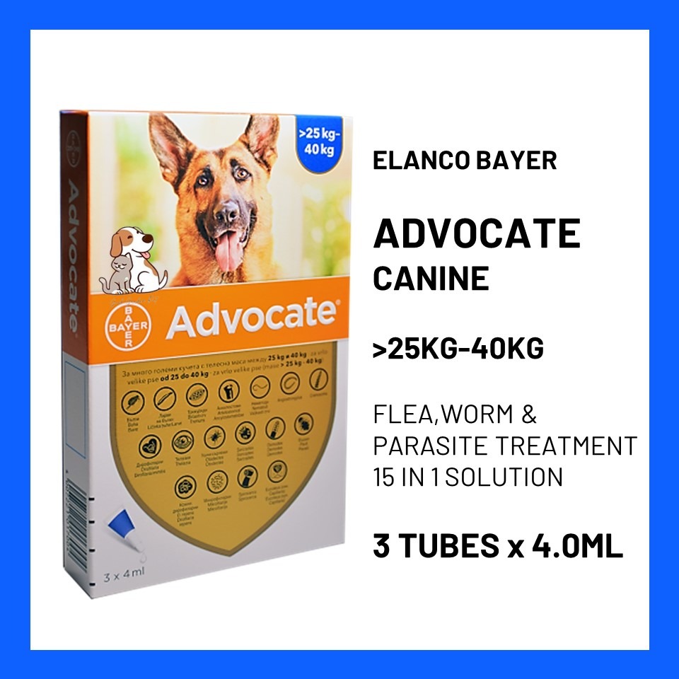 Advocate Dog XL (>25KG40KG) Flea and Worm Treatment, Pet Supplies