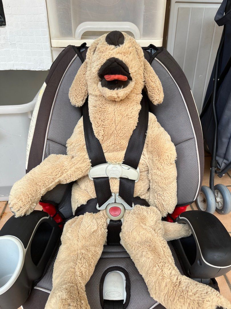 Amsafe car seat hotsell