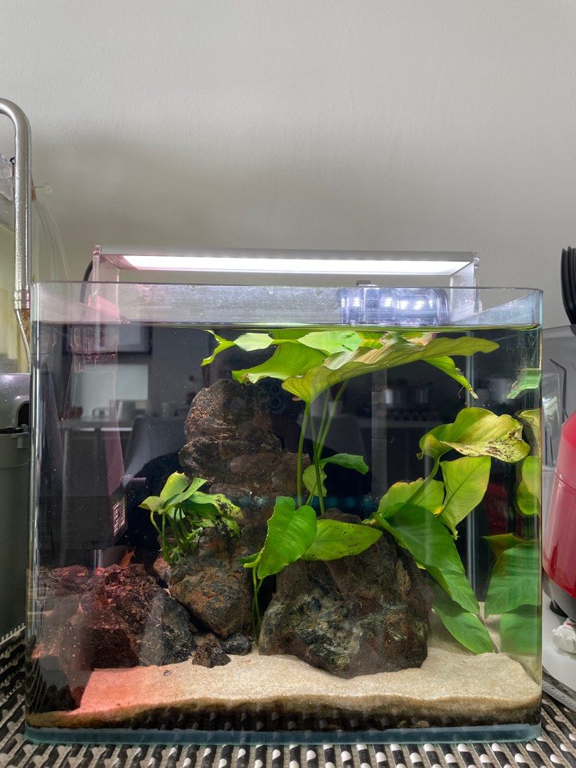 Aquarium mini shop