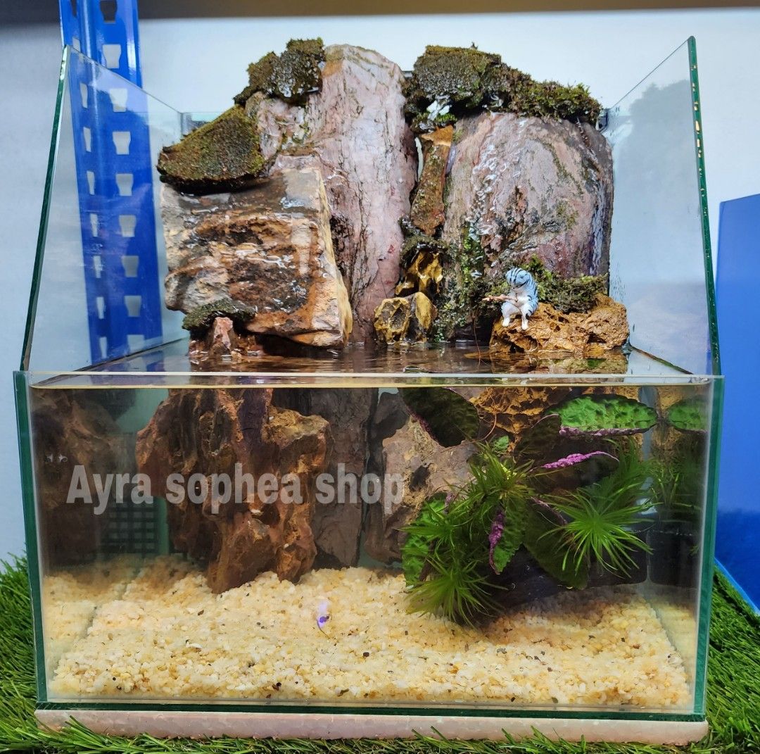 Aquarium shop in cheras clearance