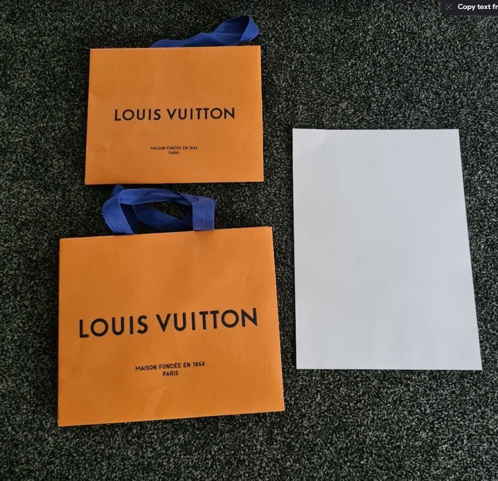 Authentic Louis Vuitton LV Paper Bag and Box Orange, Luxury, Bags & Wallets  on Carousell