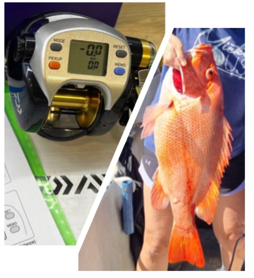 Daiwa Electric Fishing Reel + Battery Daiwa Lille Leo Blitz S500, Sports  Equipment, Fishing on Carousell
