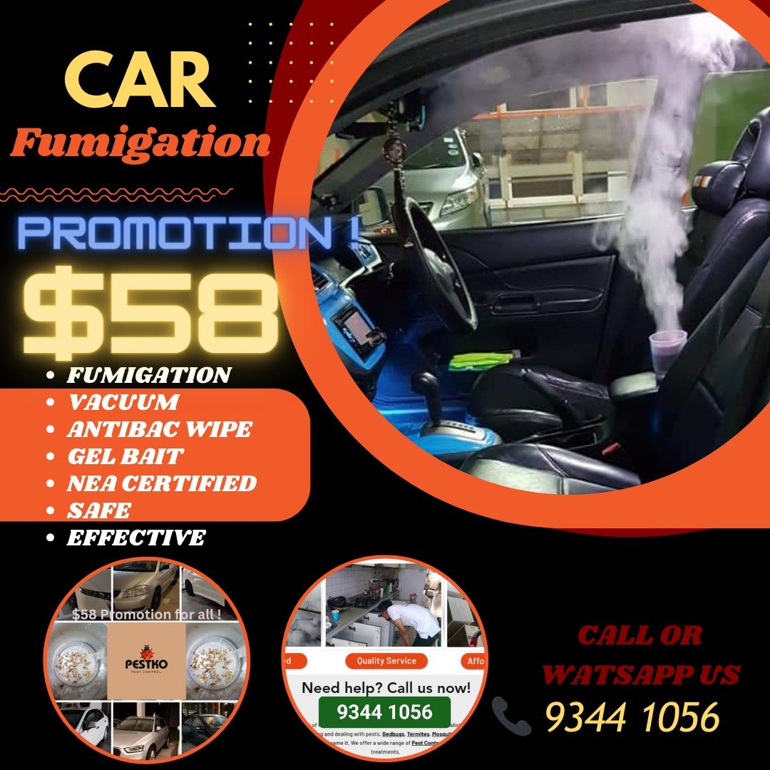 Free Deep Steaming Upholstery and Seats Free Nano Misting Car