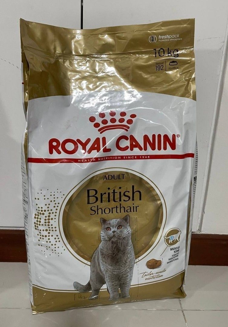 Royal canin shorthair 10kg online
