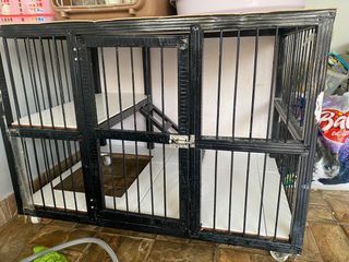 Kandang Kucing