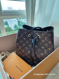 LOUIS VUITTON PETIT NOE: 6 MONTH REVIEW! Wear and tear? Is it worth it?