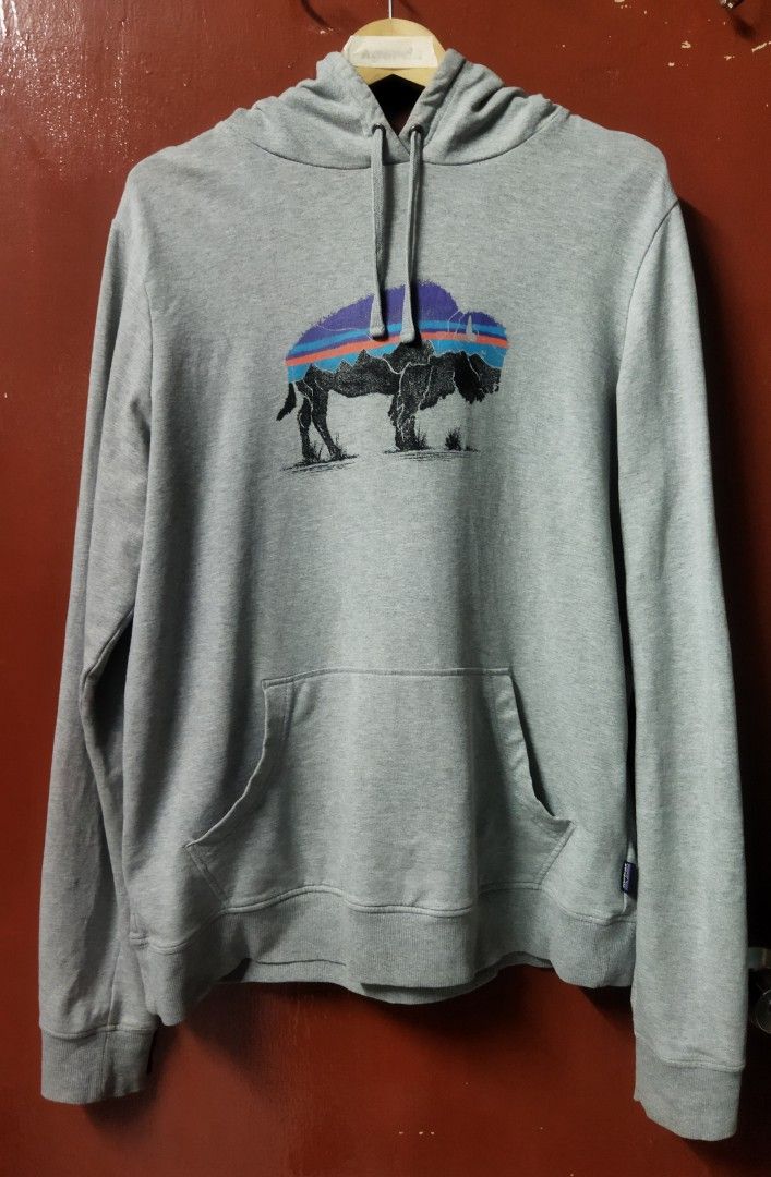 Patagonia online bison hoodie