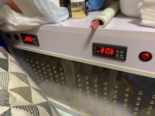 （分類：）位於 。 由 clinglingc 提交（商品編號 1256650152，圖片 1）。簡介： 。