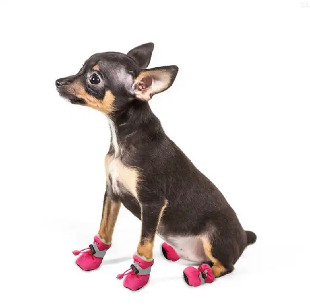 Puppy dog new arrivals shoes
