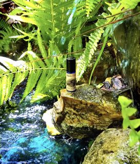 (Category: ) located in . Submitted by dresswithpockets (Listing ID 1256623087, Image 1). Description: .