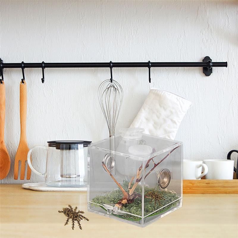Spider Box Reptile Jumping Enclosure Feeding Terrarium Breeding Cage ...