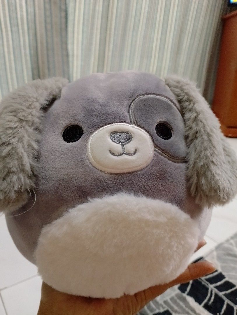 Squishmallows Gustavus the Grey dog, Hobbies & Toys, Toys & Games on ...