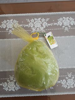 Thai Pomelo Squishy